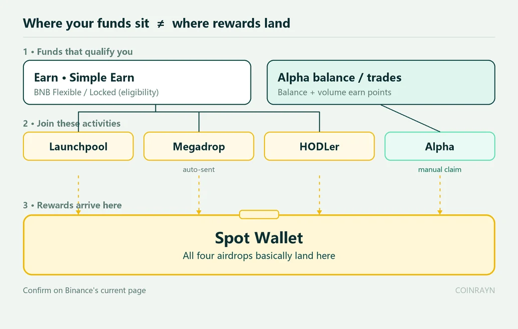 Where Binance airdrops land: eligibility assets sit in Earn or Alpha, and all four airdrop rewards land in the Spot Wallet
